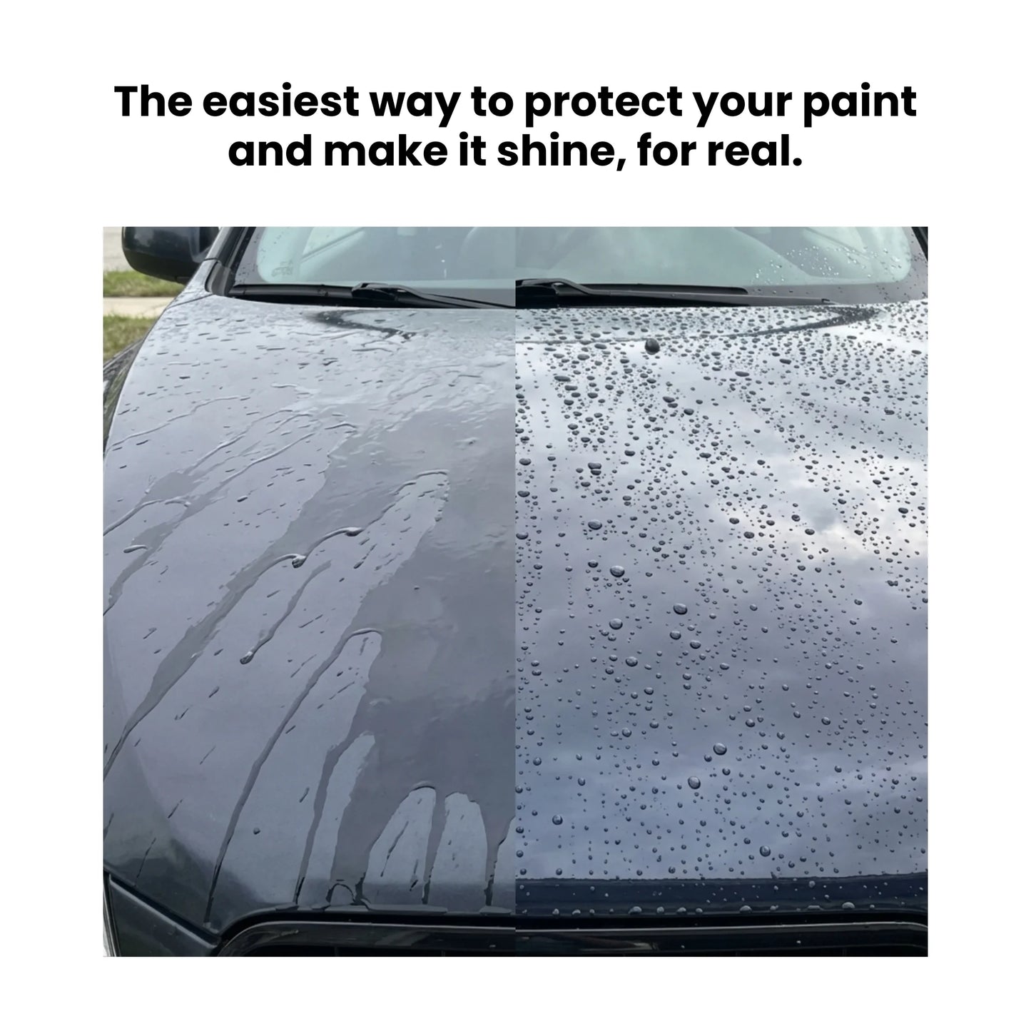 All Cars Nano Shield